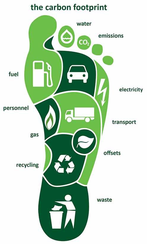 What is My Carbon Footprint and What Do I Do About It? – The Spot